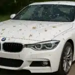 How to Remove Bird Droppings & Tree Sap from Wraps - example on a car, close-up finish detail